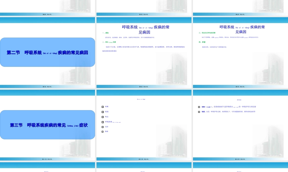 2022年医学专题—呼吸总论详解.ppt