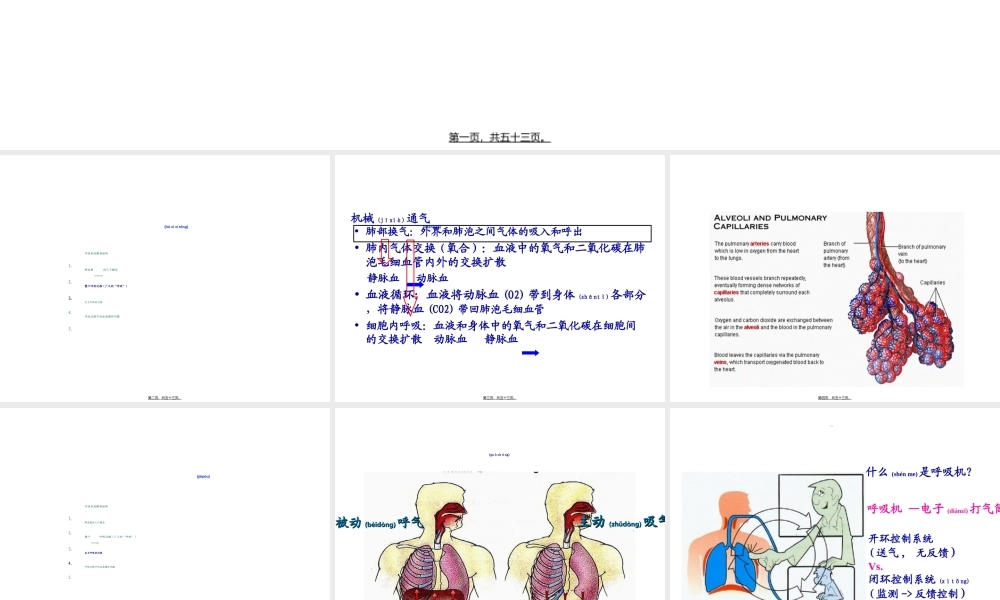 2022年医学专题—呼吸机的使用(基本).ppt
