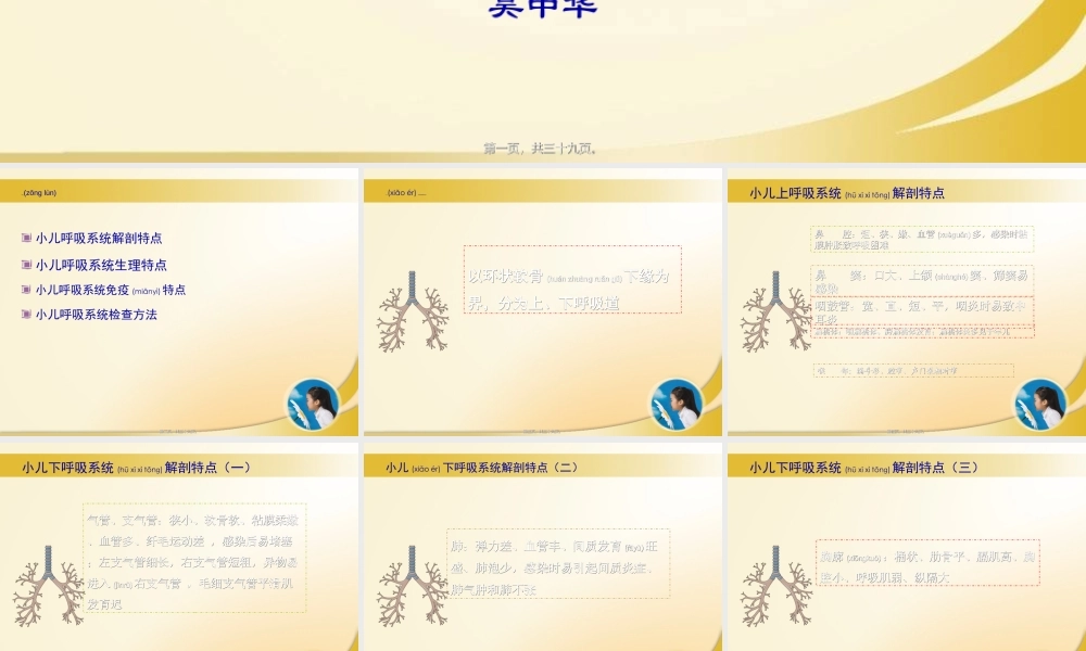 2022年医学专题—呼吸系统总论、急性上呼吸道感染、急性支气管炎.ppt
