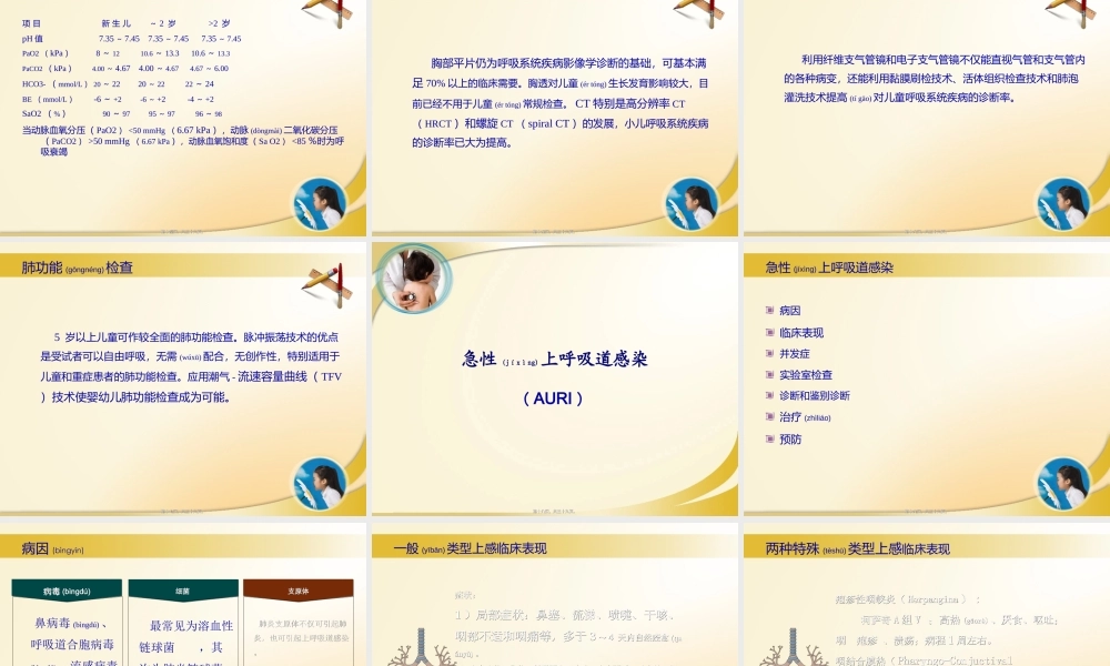 2022年医学专题—呼吸系统总论、急性上呼吸道感染、急性支气管炎.ppt