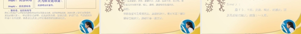 2022年医学专题—呼吸系统总论、急性上呼吸道感染、急性支气管炎.ppt