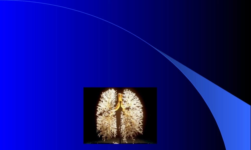 2022年医学专题—咳嗽咳痰咯血呼吸困难胸痛描述.ppt