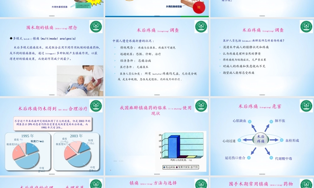 2022年医学专题—围术期镇痛现状与思考.ppt