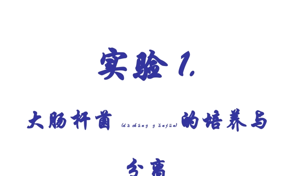 2022年医学专题—大肠杆菌的培养与分离.ppt