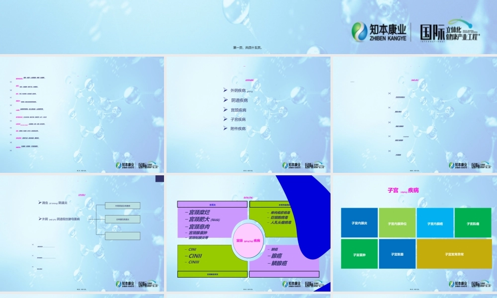 2022年医学专题—妇科病的种类.ppt