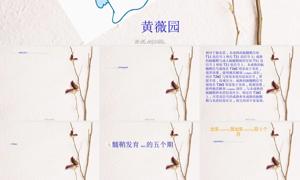 2022年医学专题—小儿脑髓鞘形成MRI.ppt