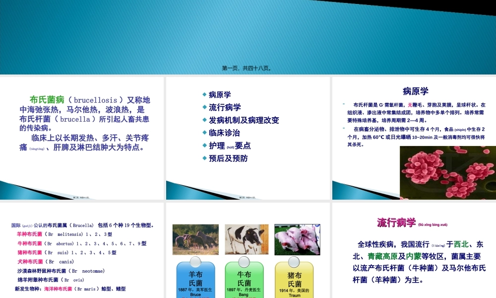2022年医学专题—布氏杆菌病.ppt