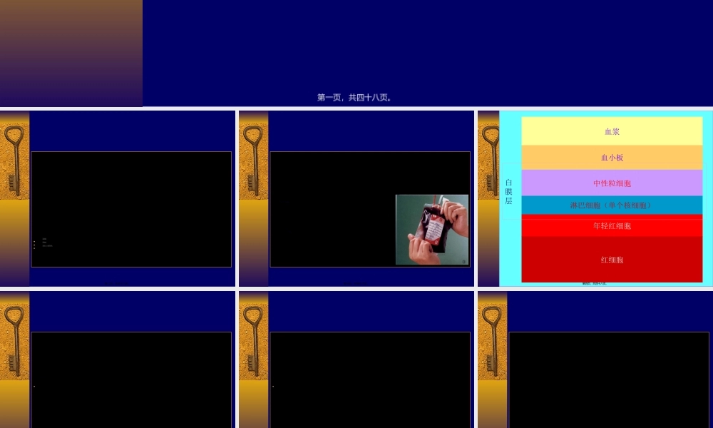 2022年医学专题—成分输血.ppt