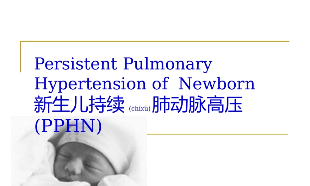 2022年医学专题—新生儿肺动脉高压.pptx