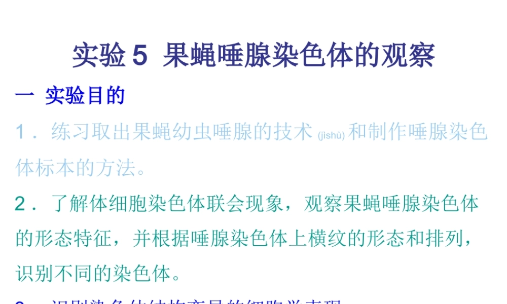 2022年医学专题—果蝇唾液腺染色体观察.ppt