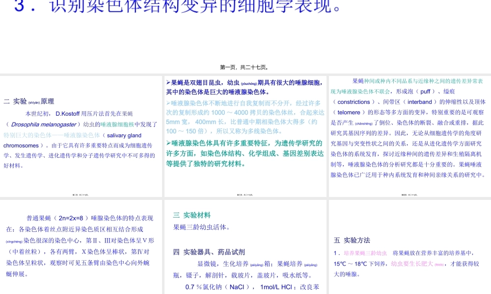 2022年医学专题—果蝇唾液腺染色体观察.ppt