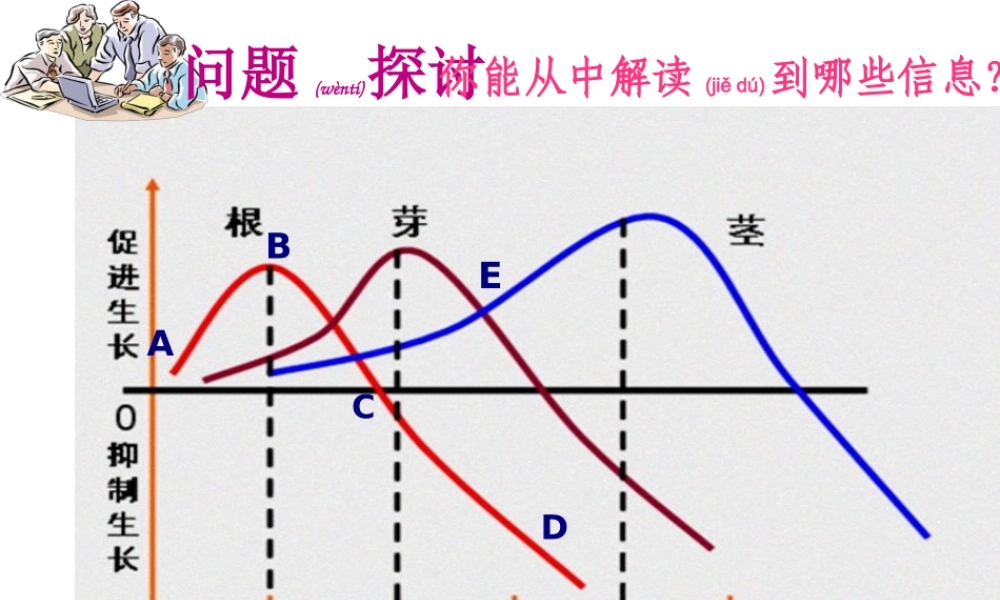2022年医学专题—植物生长素的生理作用.ppt