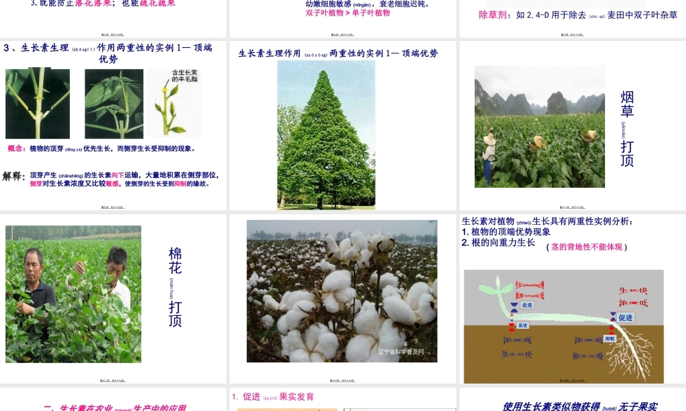 2022年医学专题—植物生长素的生理作用.ppt