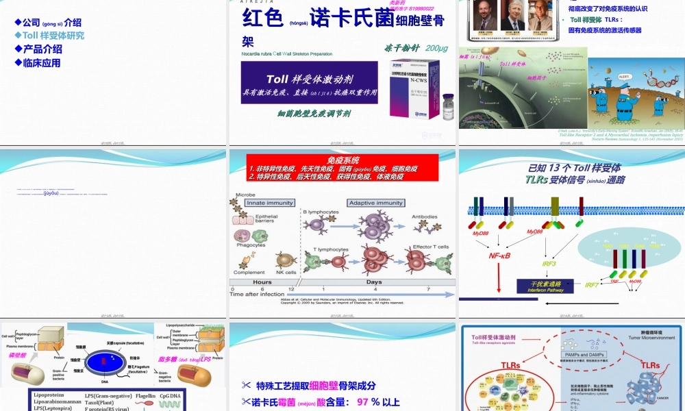 2022年医学专题—泌尿外科科内会PPT.ppt