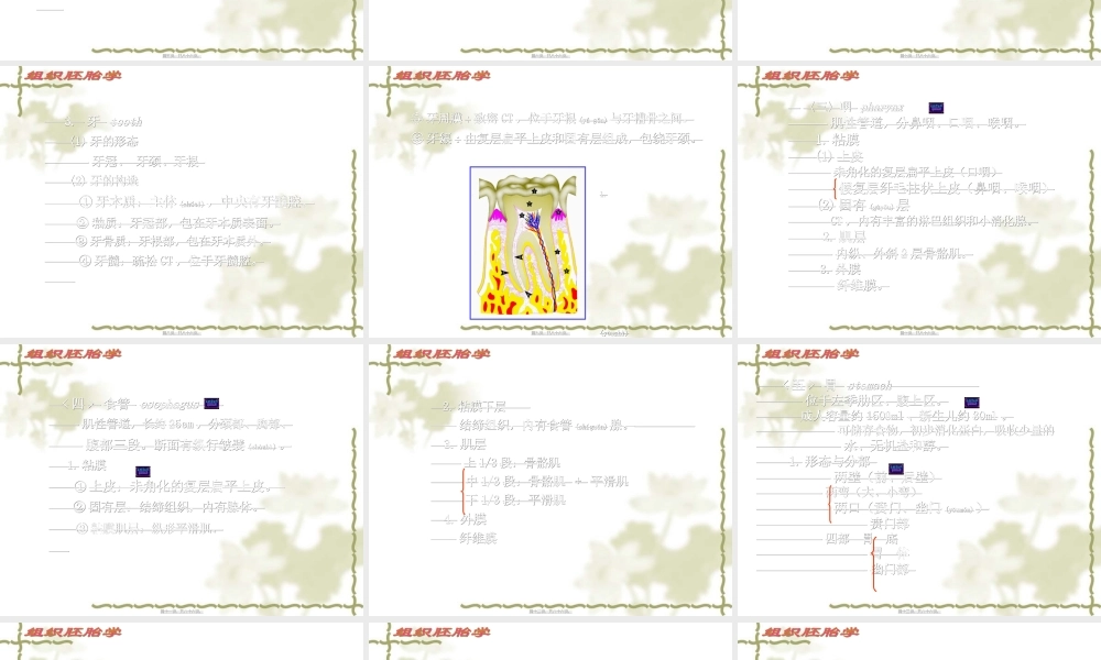 2022年医学专题—消化系统细微结构.ppt