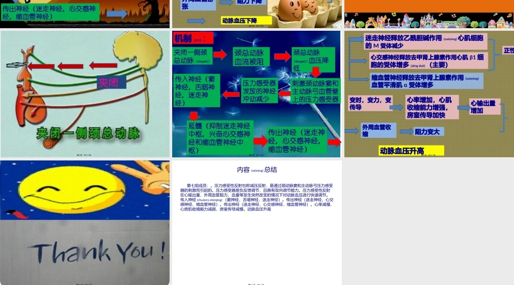 2022年医学专题—牵拉一侧颈总动脉-家兔的血压和心率有何变化？其机制？.pptx