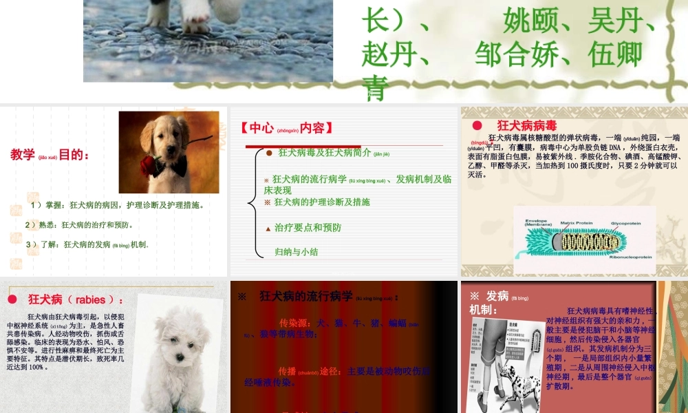 2022年医学专题—狂犬病(2).ppt
