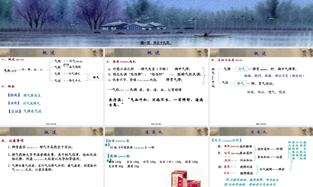 2022年医学专题—理气中成药(2).ppt