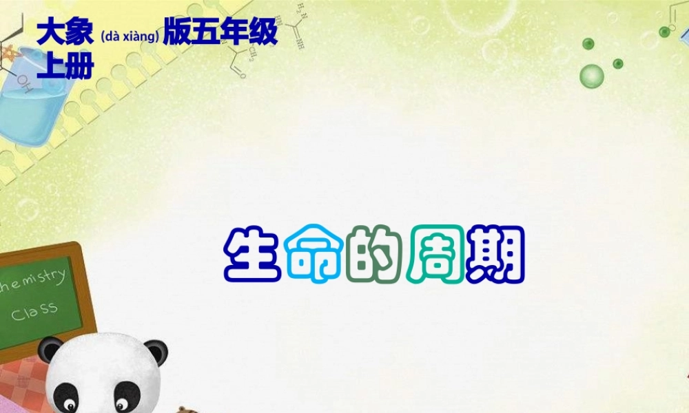 2022年医学专题—生命的周期.pptx