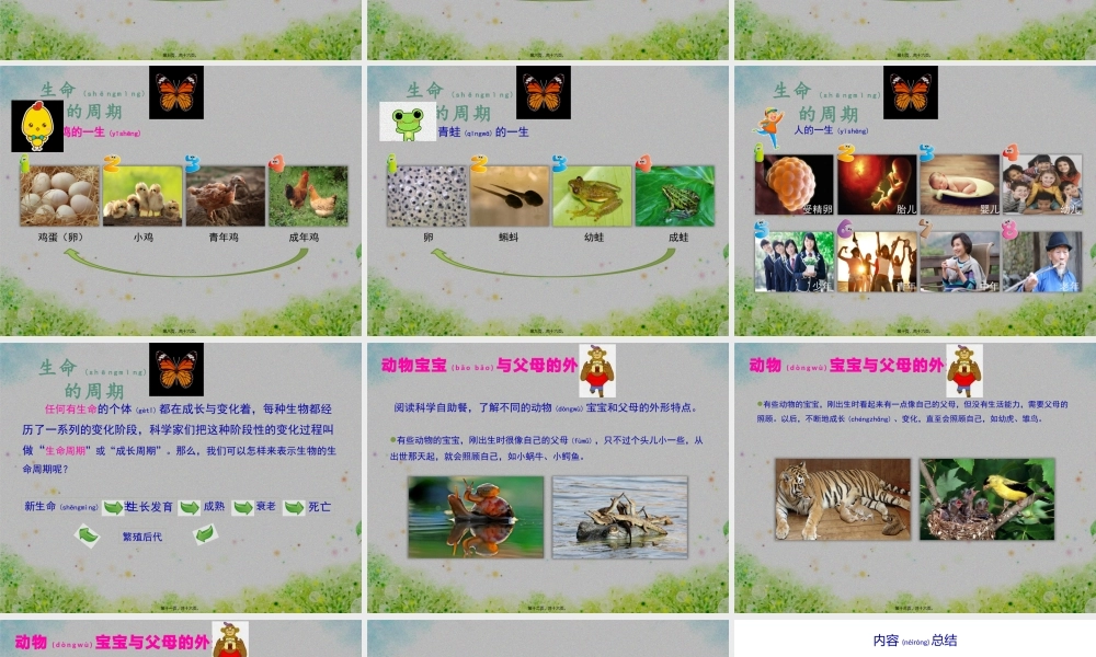 2022年医学专题—生命的周期.pptx