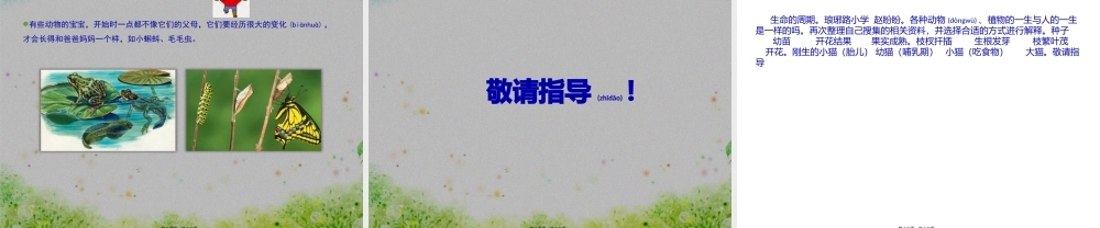 2022年医学专题—生命的周期.pptx