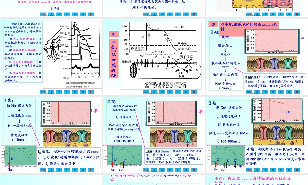 2022年医学专题—生理.ppt