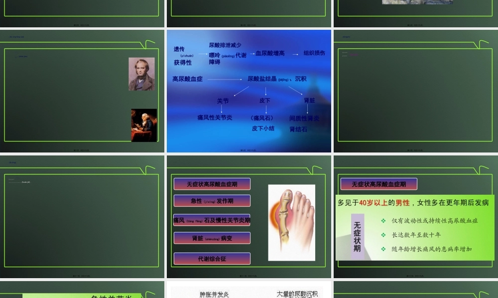 2022年医学专题—痛风.ppt