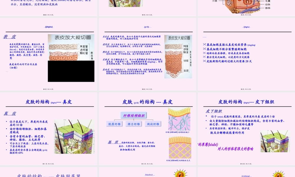 2022年医学专题—皮肤生理知识--概论.ppt