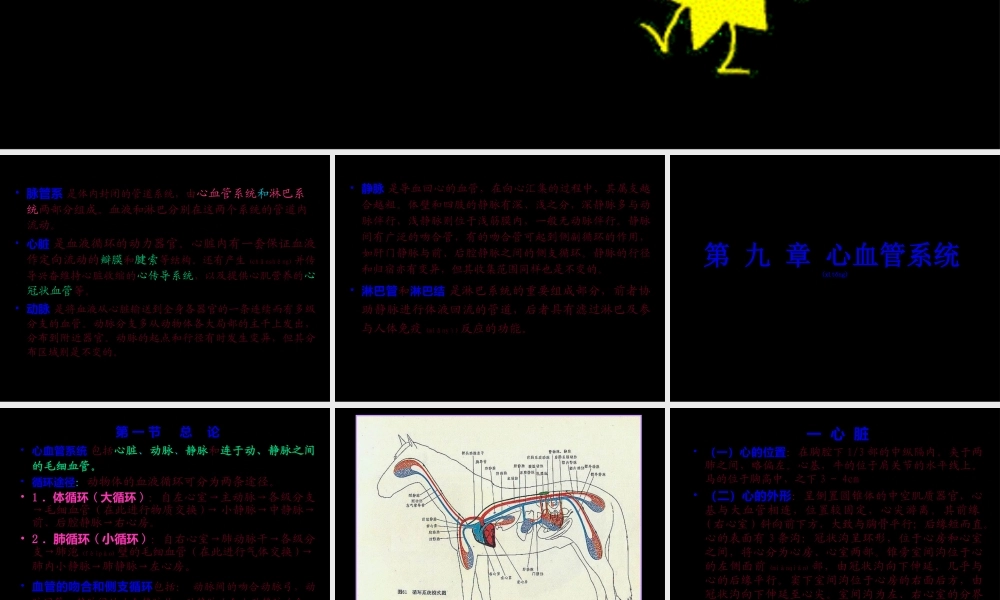 2022年医学专题—第-三-篇----脉管系统.ppt