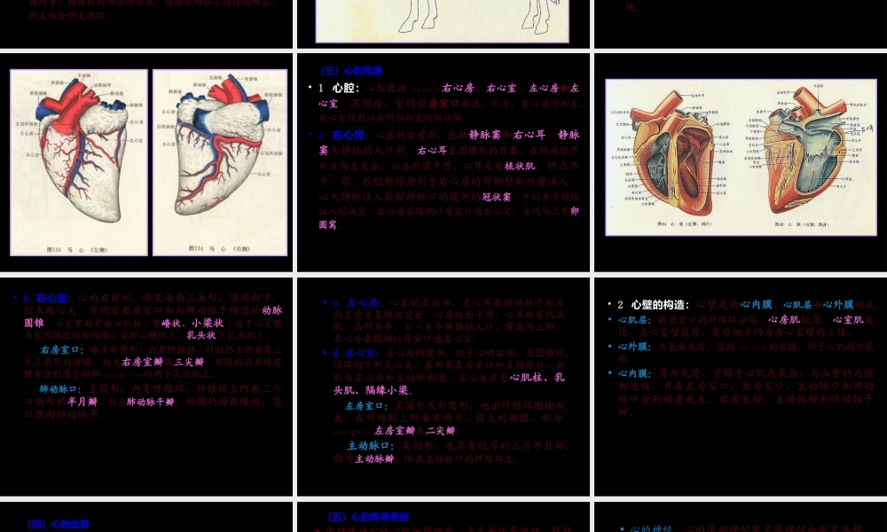 2022年医学专题—第-三-篇----脉管系统.ppt