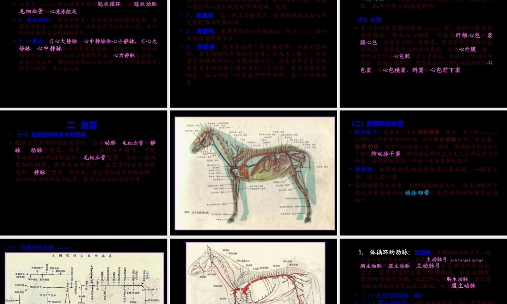 2022年医学专题—第-三-篇----脉管系统.ppt