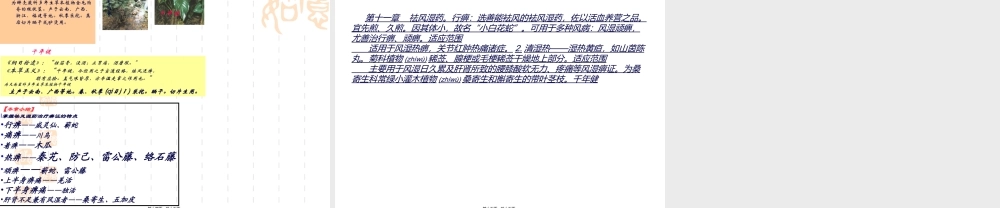 2022年医学专题—第11讲-祛风湿药知识.ppt