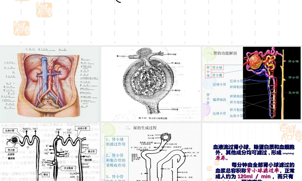 2022年医学专题—第16章-利尿药及脱水药.ppt