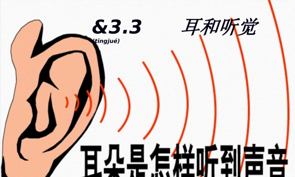 2022年医学专题—第3节-耳和听觉2.ppt