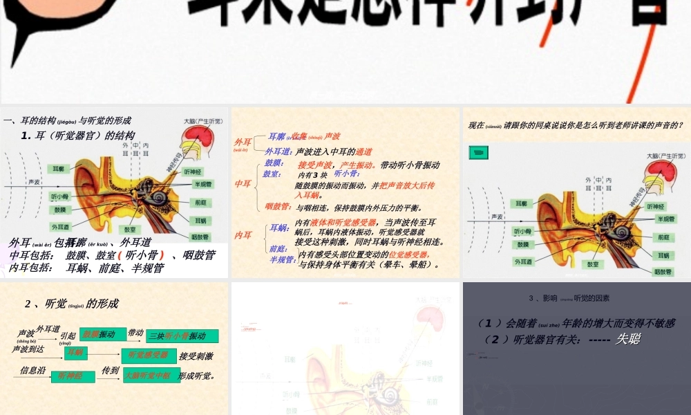 2022年医学专题—第3节-耳和听觉2.ppt