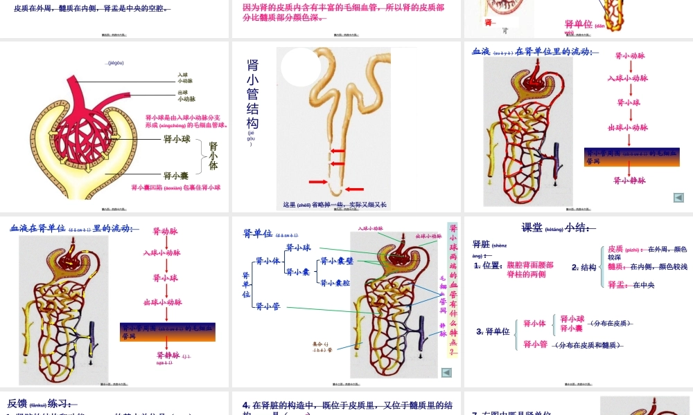 2022年医学专题—第一节尿液的形成和排出++PPT45.ppt