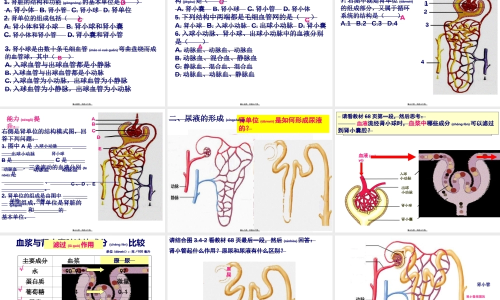 2022年医学专题—第一节尿液的形成和排出++PPT45.ppt