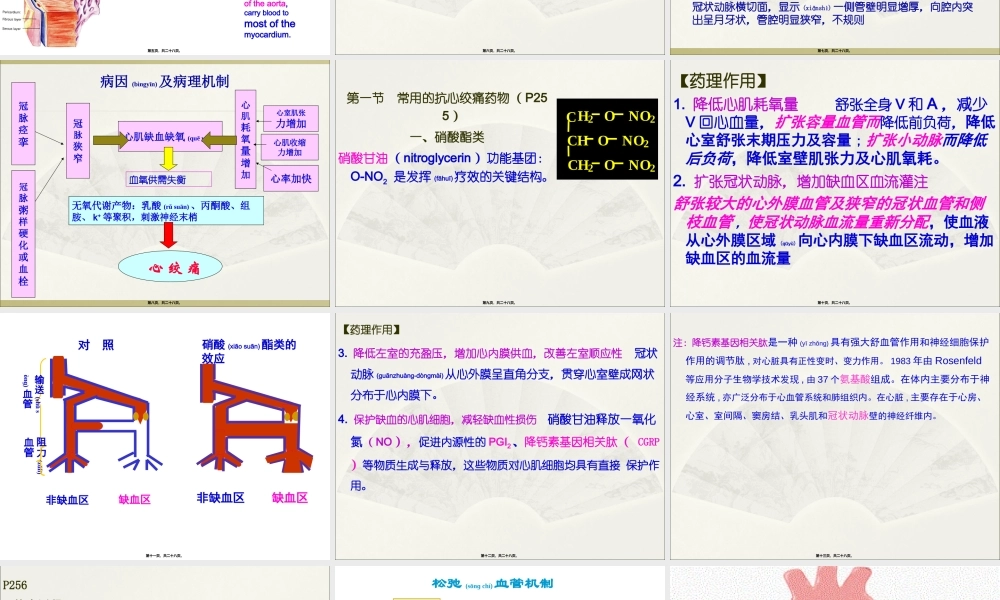 2022年医学专题—第二十四章抗心绞痛药.ppt