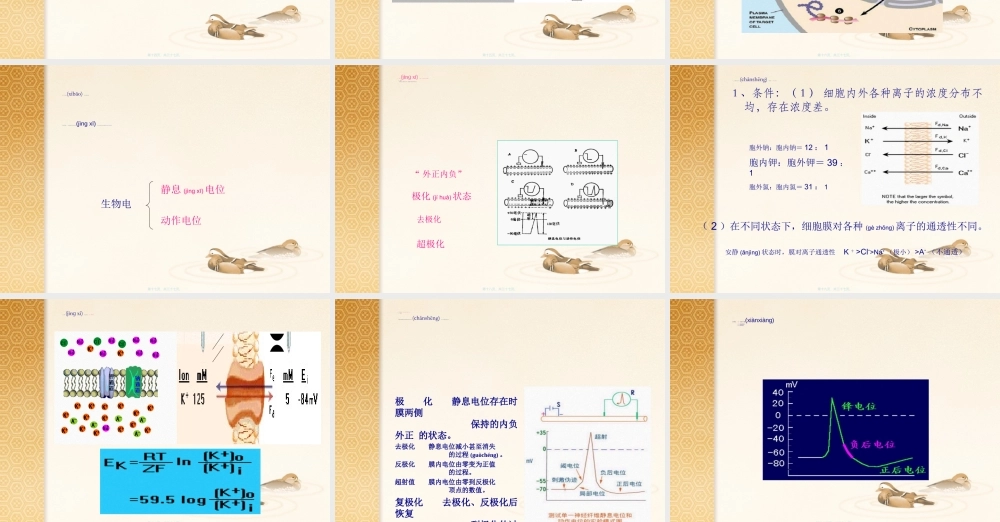 2022年医学专题—第二篇-细胞基本功能.ppt