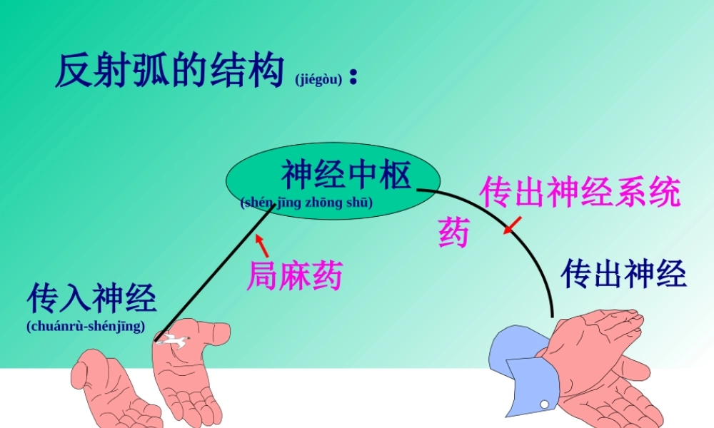 2022年医学专题—第五章传出神经系统药.ppt