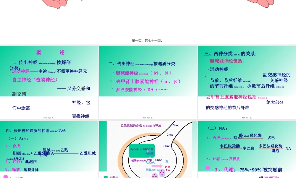 2022年医学专题—第五章传出神经系统药.ppt