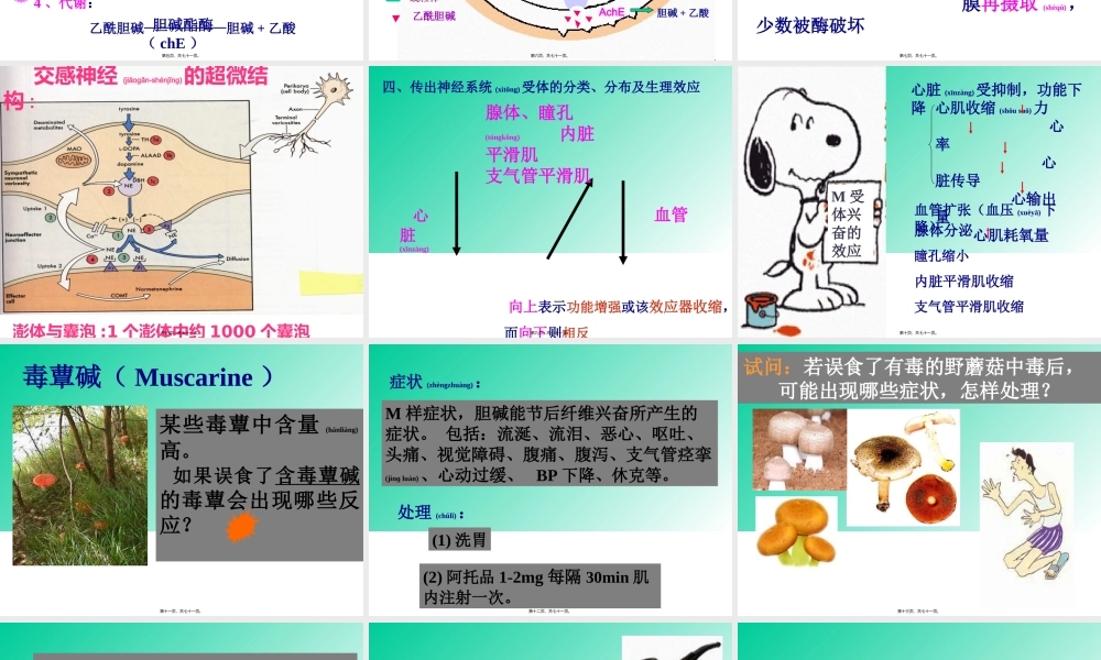 2022年医学专题—第五章传出神经系统药.ppt