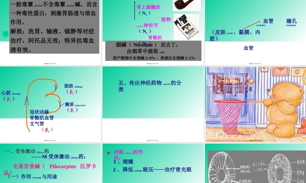 2022年医学专题—第五章传出神经系统药.ppt