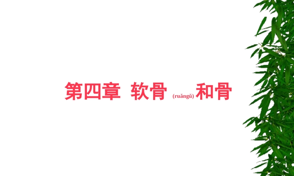 2022年医学专题—第四章-软骨与骨.ppt