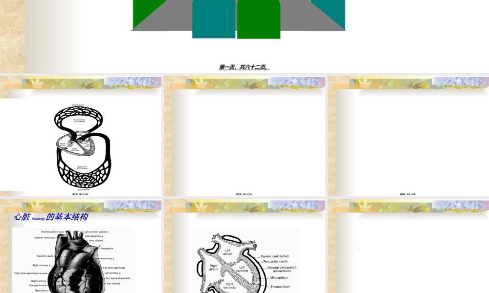 2022年医学专题—第四章血液循环讲解.ppt