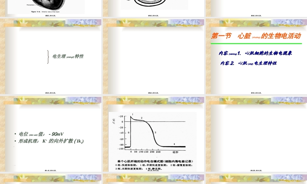2022年医学专题—第四章血液循环讲解.ppt