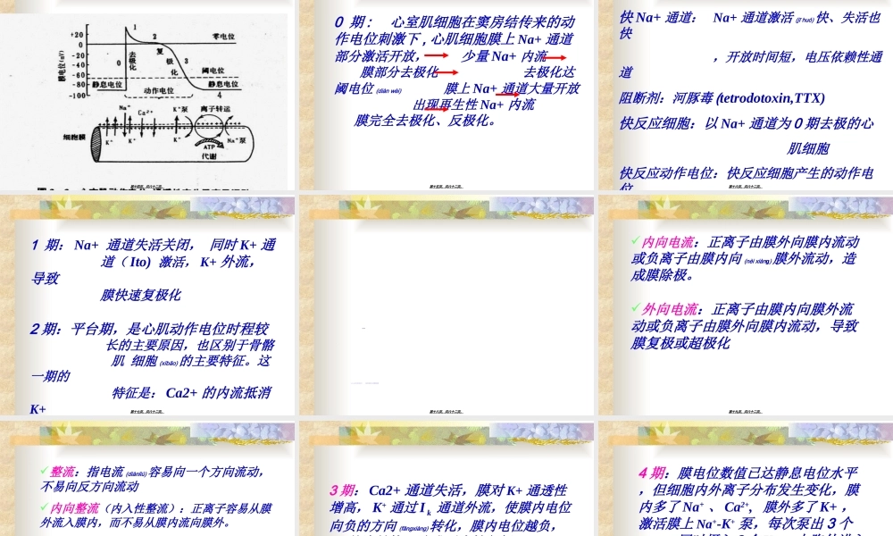 2022年医学专题—第四章血液循环讲解.ppt