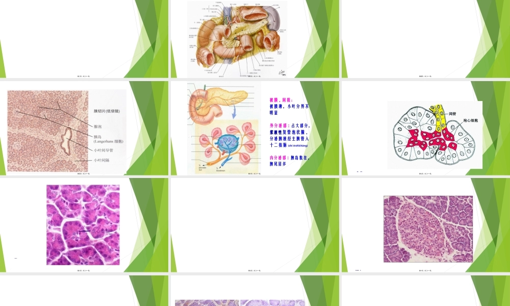 2022年医学专题—糖尿病及其与高血压关系.ppt