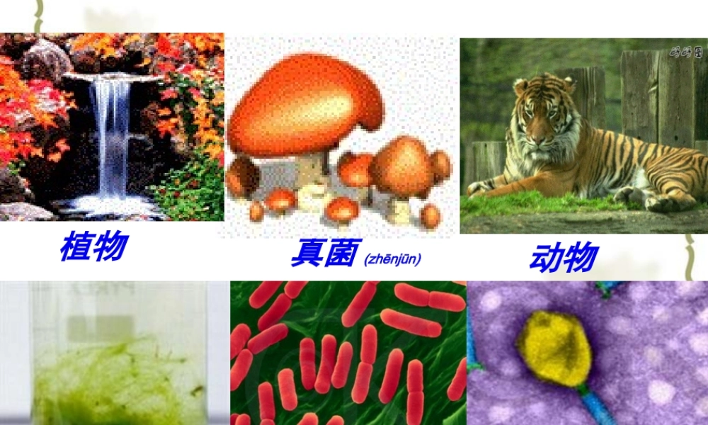 2022年医学专题—细胞中的原子及分子.ppt