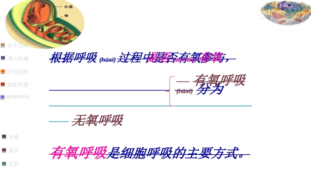 2022年医学专题—细胞呼吸适合一轮复习自己做的公开课.ppt